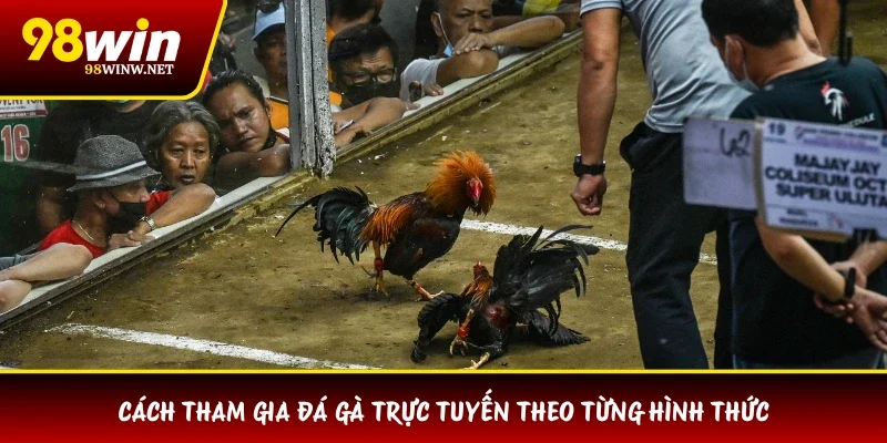 Cách tham gia đá gà trực tuyến theo từng hình thức