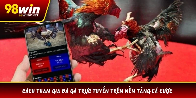 Cách tham gia đá gà trực tuyến trên nền tảng cá cược